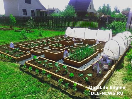 Планируем садово-огородный участок