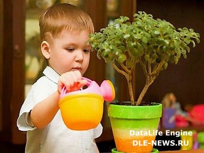Комнатные растения в детской
