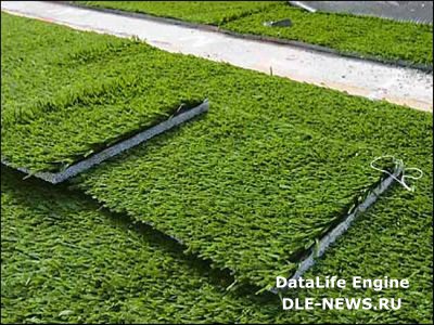 Синтетический газон как достойная альтернатива травяному покрову